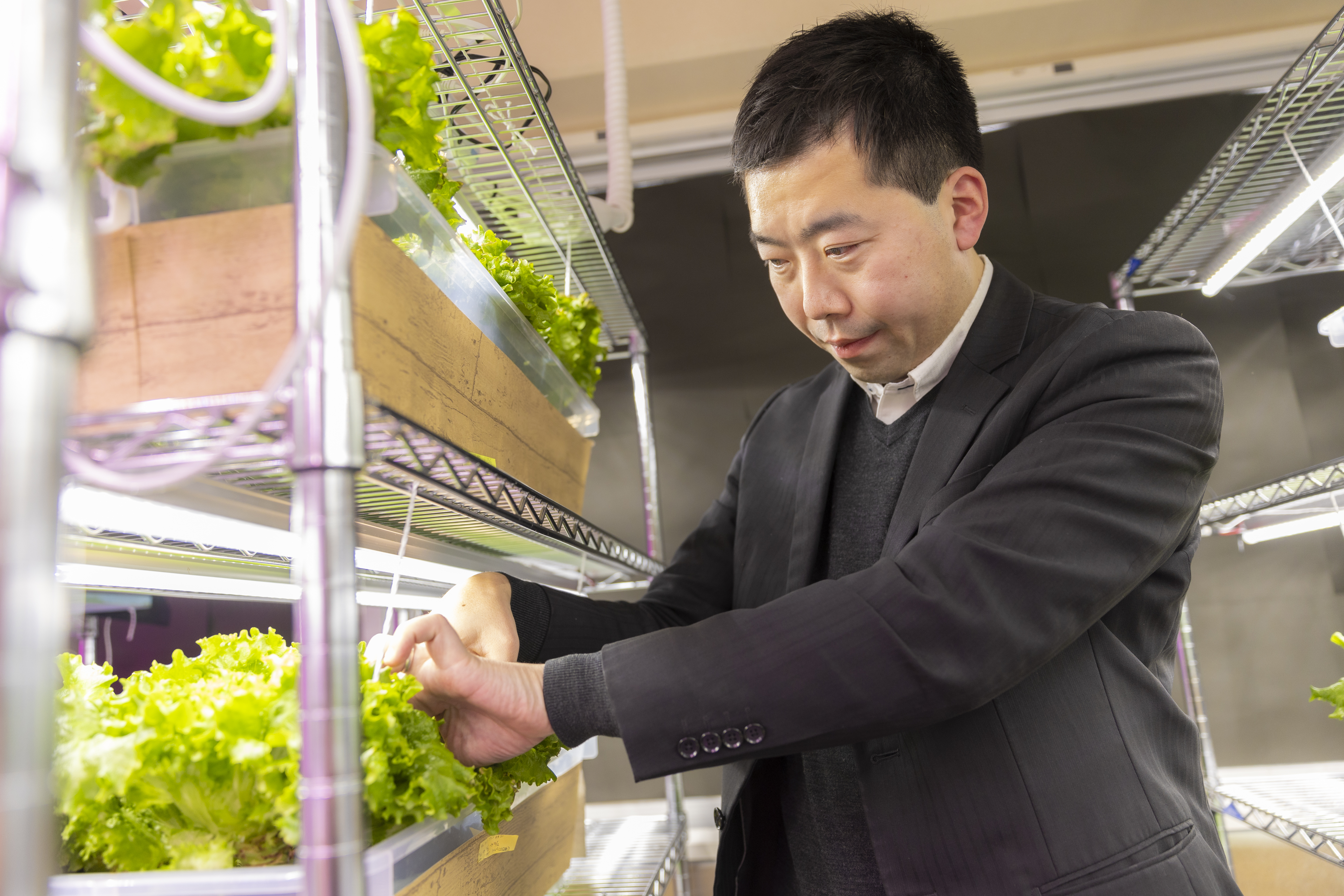 将来的にはハーブティーの材料になる野菜の栽培にも挑戦していく