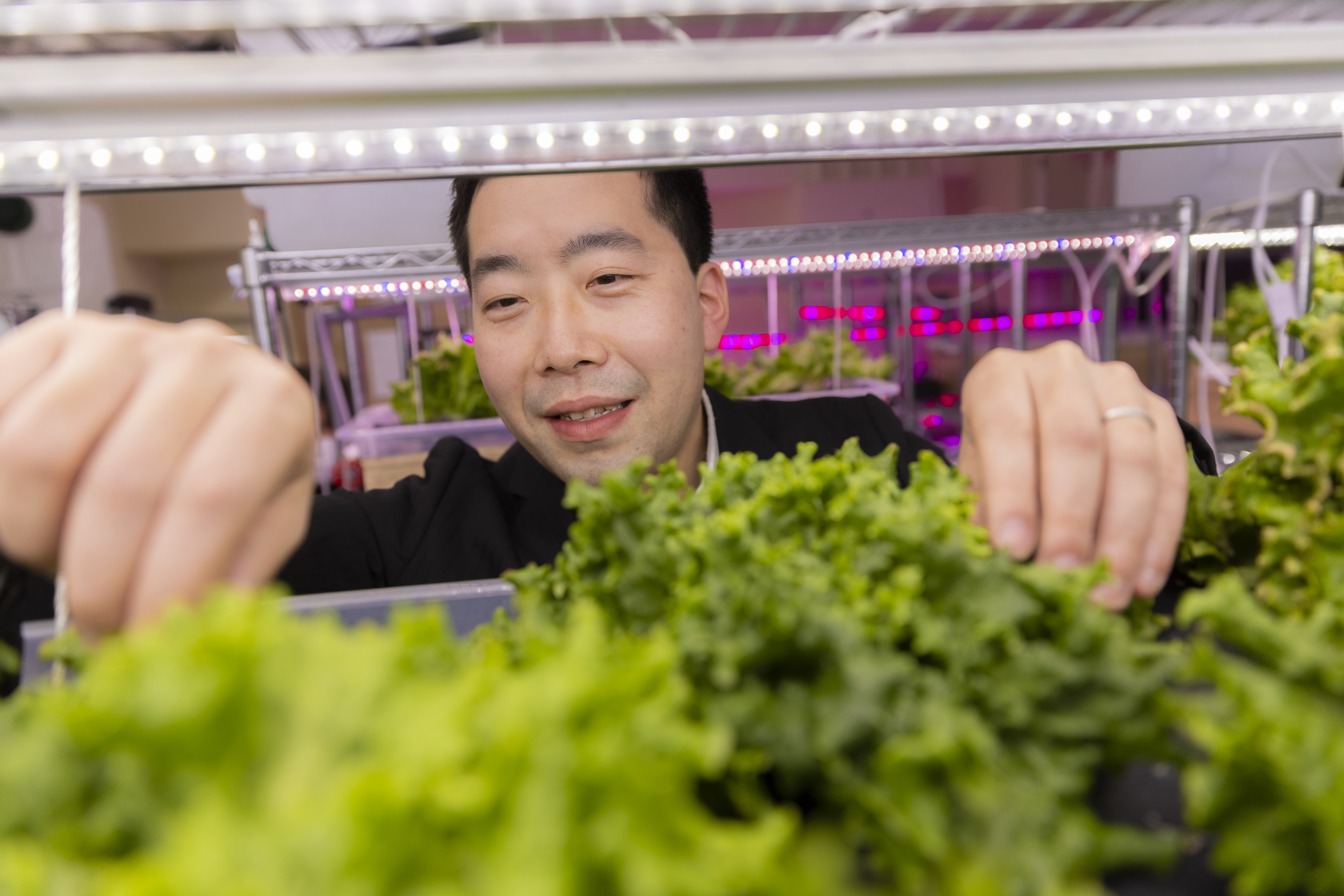 一人ひとりの適性に合った仕事を担当してもらうことで、働くことに対するハードルも下げている