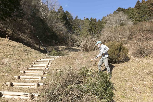 従業員はそれぞれの適性に応じた仕事を手がけます