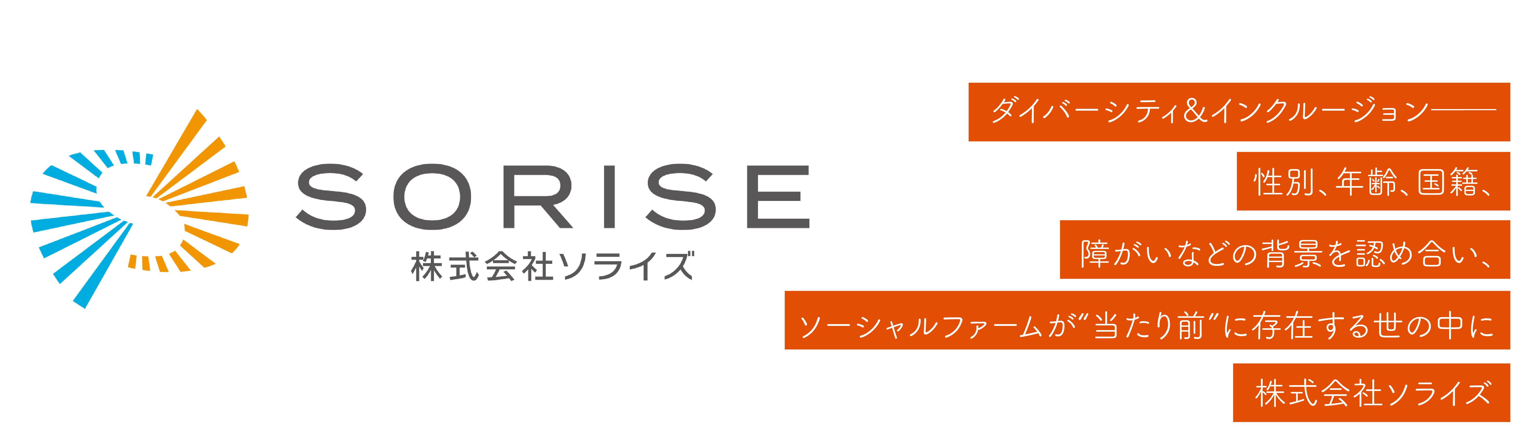 株式会社ソライズ